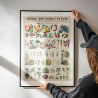 School and Family Charts - Uses of Plants 2 Botanical Print