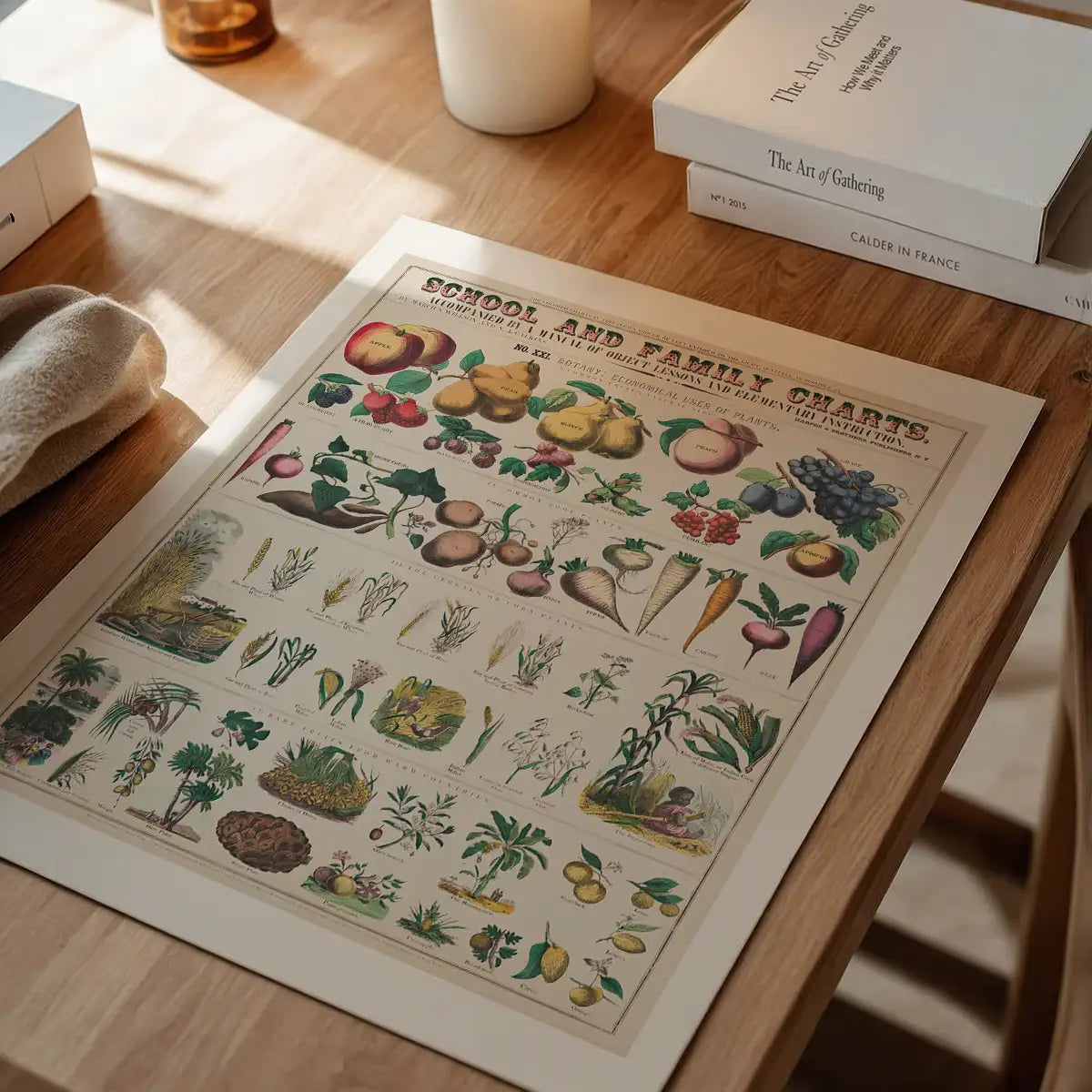 School and Family Charts - Uses of Plants 2 Botanical Print