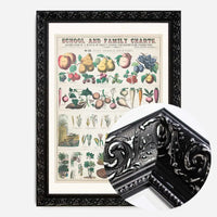 School and Family Charts - Uses of Plants 2 Botanical Print