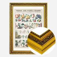 School and Family Charts - Uses of Plants 2 Botanical Print