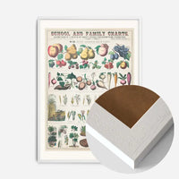 School and Family Charts - Uses of Plants 2 Botanical Print