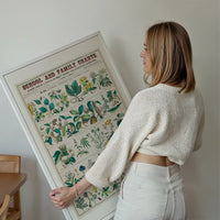 School and Family Charts - Uses of Plants Botanical Print