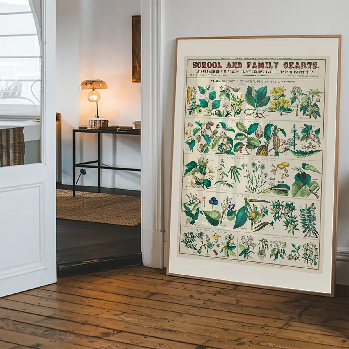 School and Family Charts - Uses of Plants Botanical Print