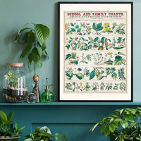 School and Family Charts - Uses of Plants Botanical Print