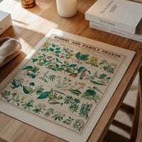 School and Family Charts - Uses of Plants Botanical Print
