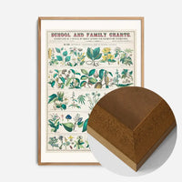 School and Family Charts - Uses of Plants Botanical Print