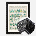 Black Ornate Frame