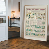 School and Family Charts - Classification of Plants Botanical Chart