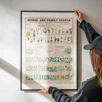School and Family Charts - Classification of Plants Botanical Chart
