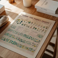 School and Family Charts - Classification of Plants Botanical Chart