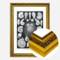 Gold Ornate Frame