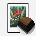Black Wood Frame