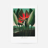 The Queen Plant by Robert John Thornton Print