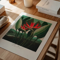 The Queen Plant by Robert John Thornton Print
