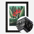 Black Ornate Frame