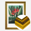 Gold Ornate Frame