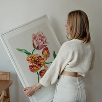 Various Tulips by John Edwards Print