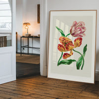 Various Tulips by John Edwards Print