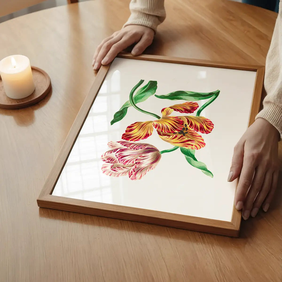 Various Tulips by John Edwards Print
