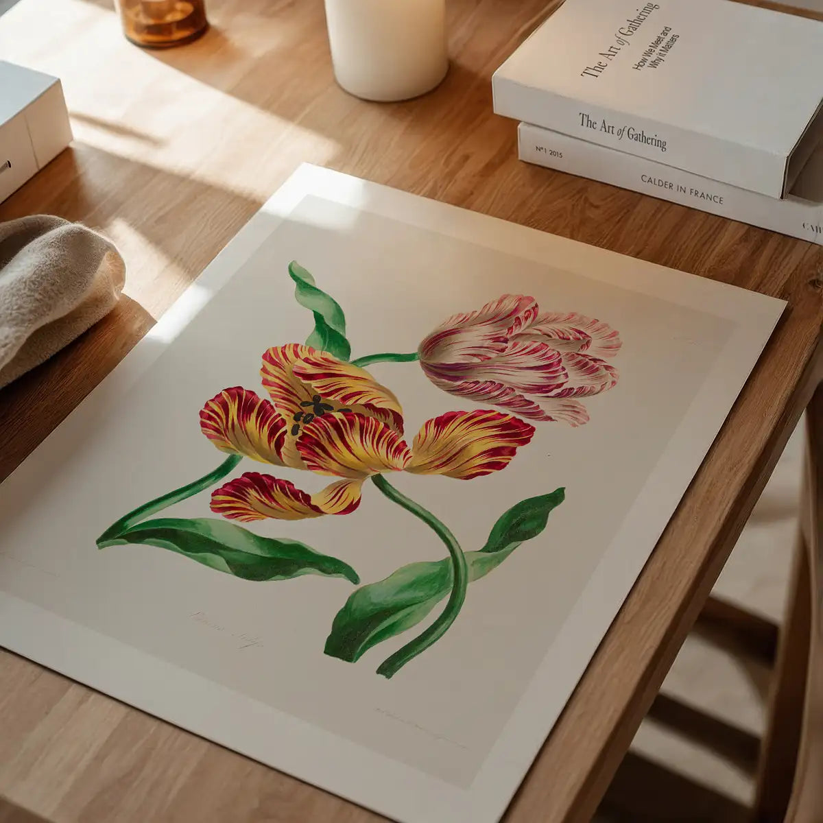 Various Tulips by John Edwards Print