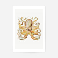 Vintage Octopus Illustration Print