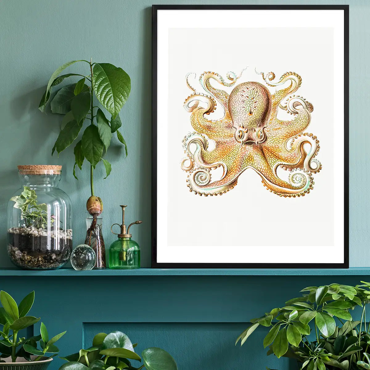 Vintage Octopus Illustration Print