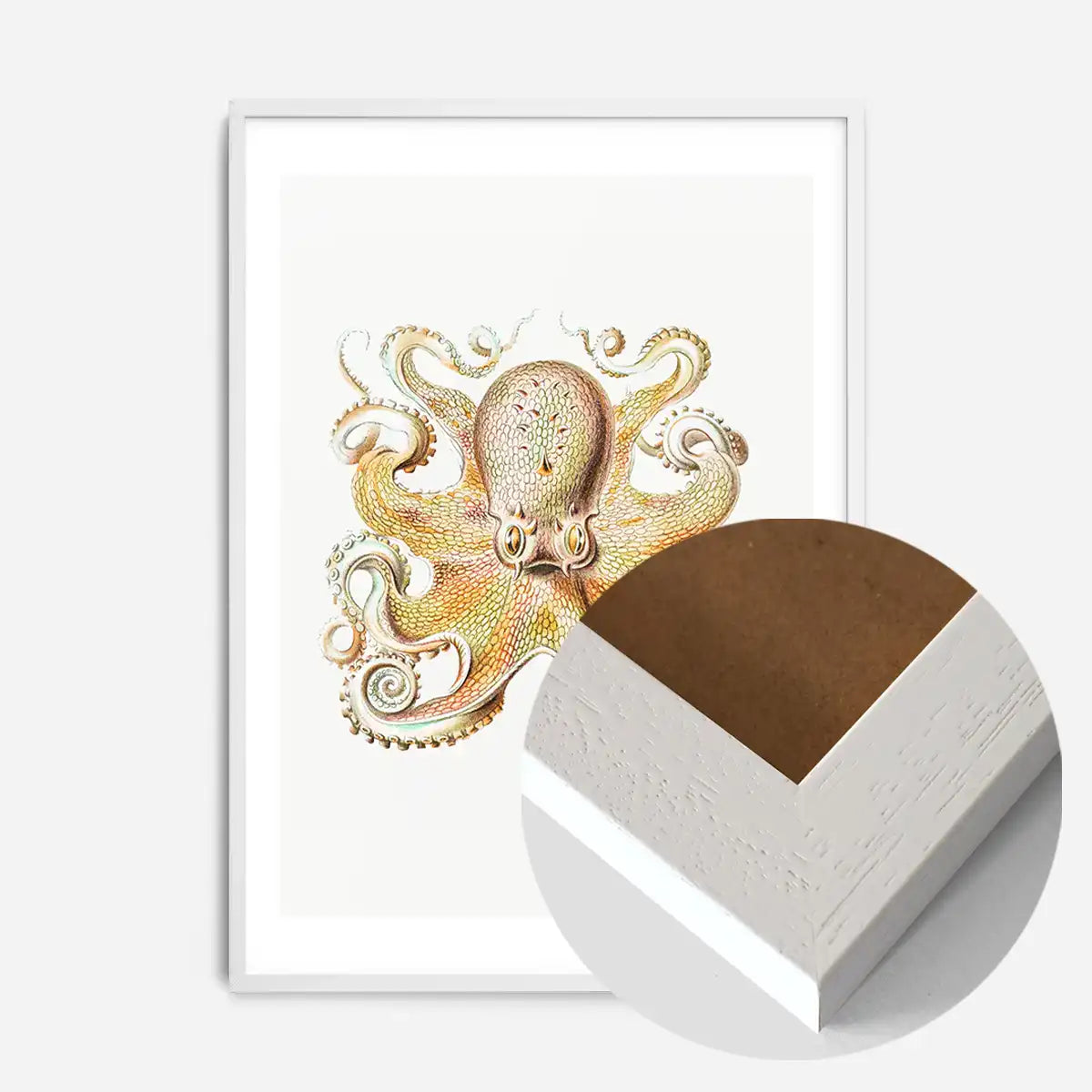 Vintage Octopus Illustration Print