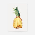 Print Only