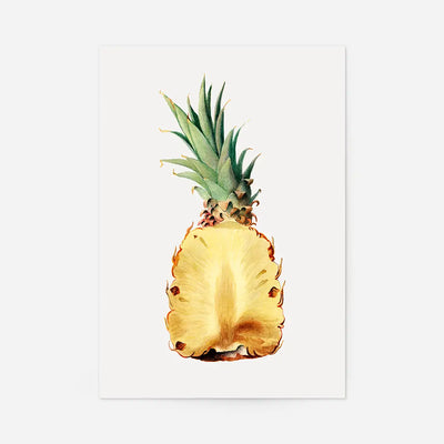 Vintage Half Pineapple Fruit Illustration Print