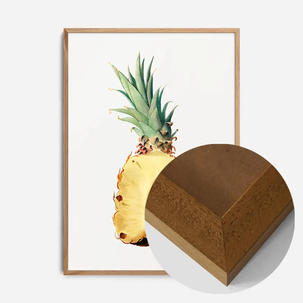 Vintage Half Pineapple Fruit Illustration Print
