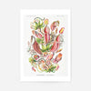 Pitcher Plants Botanical Illustration Print