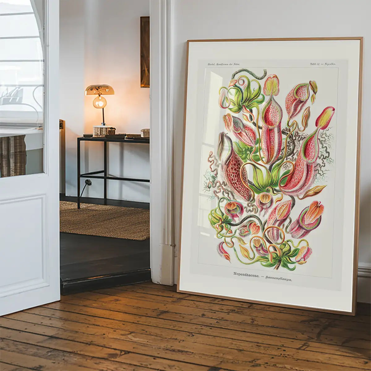 Pitcher Plants Botanical Illustration Print