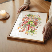 Pitcher Plants Botanical Illustration Print