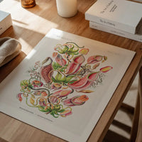 Pitcher Plants Botanical Illustration Print