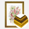 Gold Ornate Frame