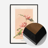 Striped Camellias Ogawa Kazumasa Flowers Print