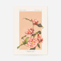 Print Only