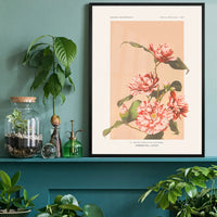 Striped Camellias Ogawa Kazumasa Flowers Print