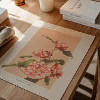 Striped Camellias Ogawa Kazumasa Flowers Print