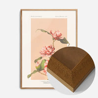 Striped Camellias Ogawa Kazumasa Flowers Print