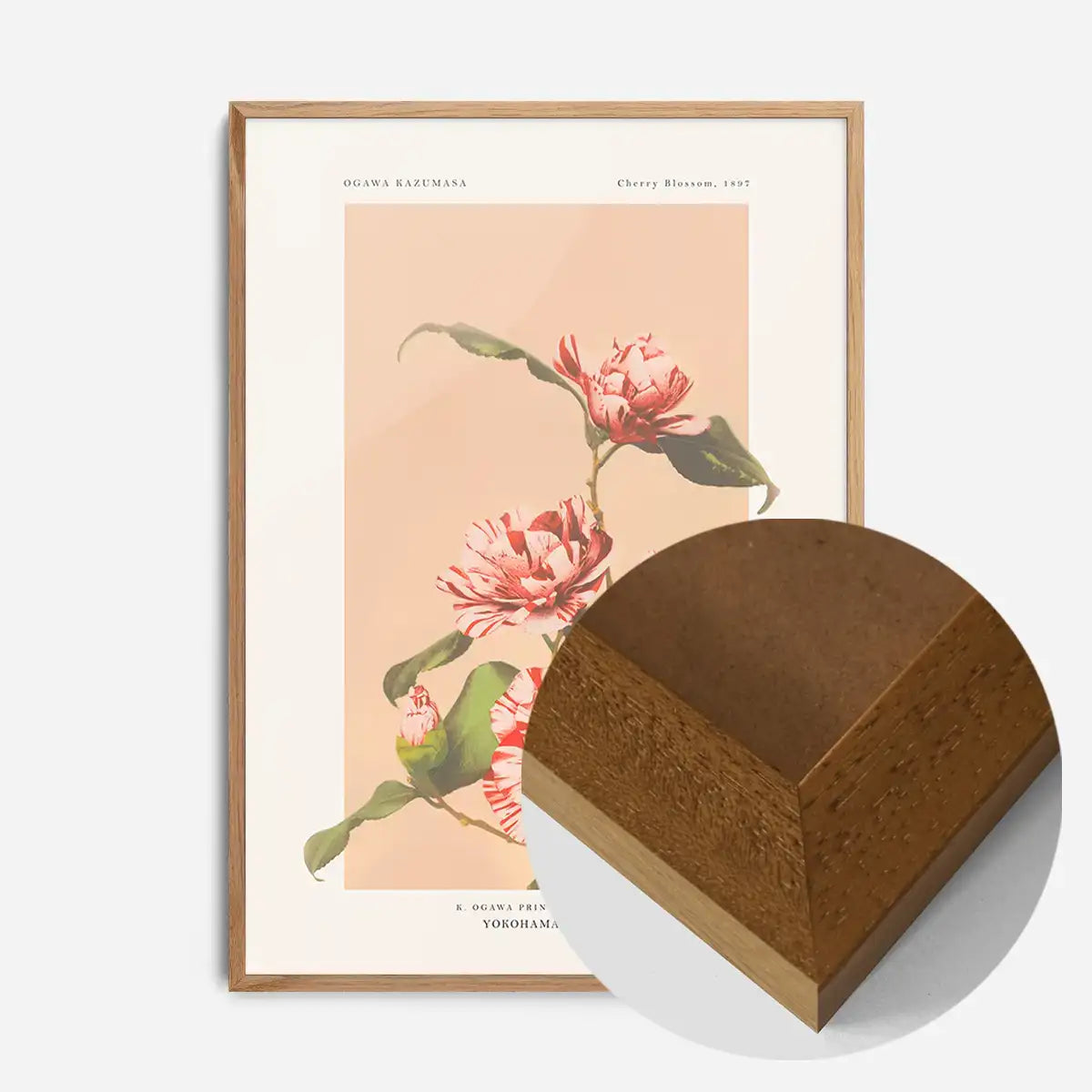 Striped Camellias Ogawa Kazumasa Flowers Print
