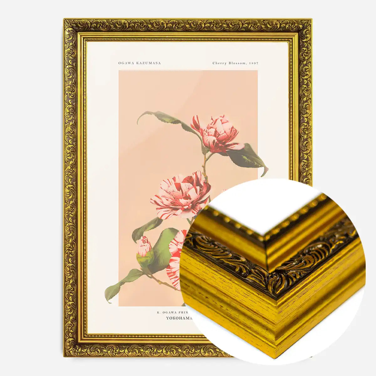 Striped Camellias Ogawa Kazumasa Flowers Print