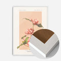 White Wood Frame