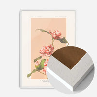 Striped Camellias Ogawa Kazumasa Flowers Print