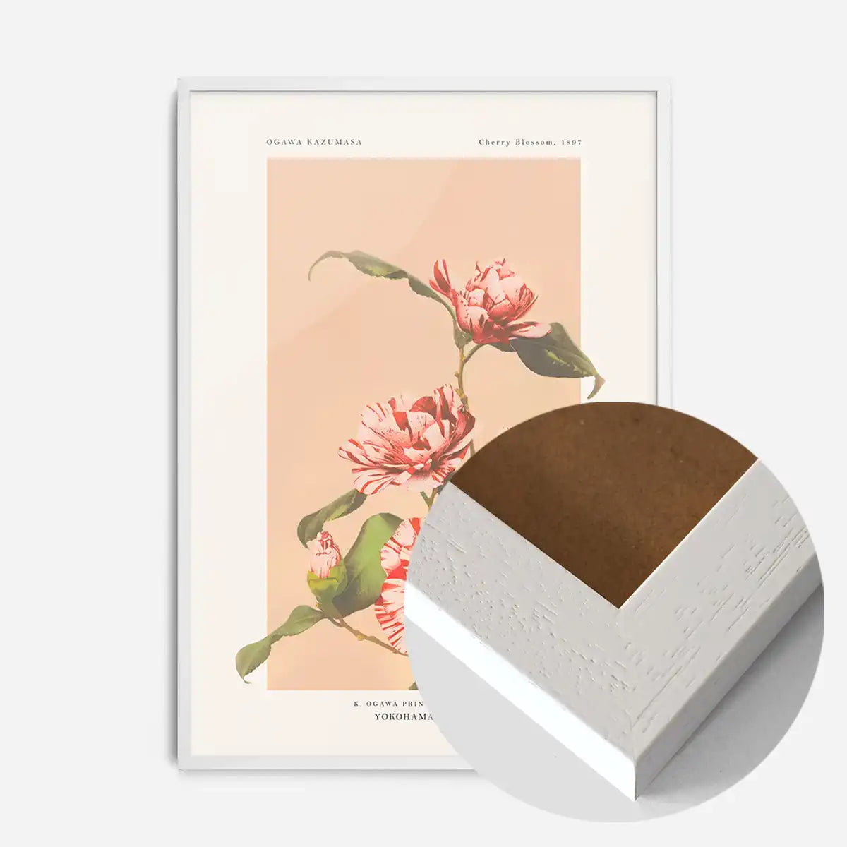 Striped Camellias Ogawa Kazumasa Flowers Print