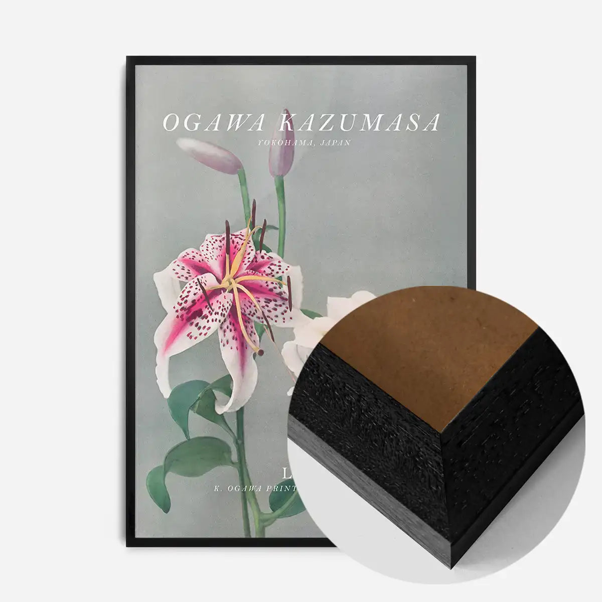 Lily 3 Ogawa Kazumasa Flowers Print
