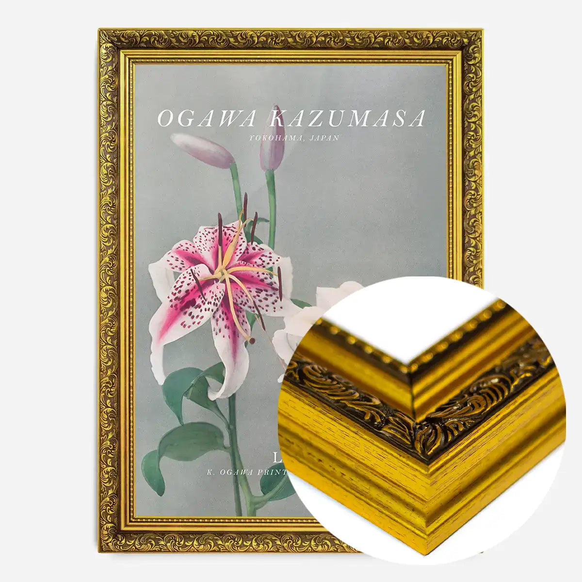 Lily 3 Ogawa Kazumasa Flowers Print
