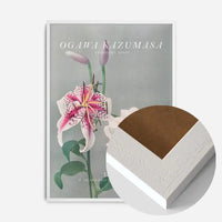 Lily 3 Ogawa Kazumasa Flowers Print