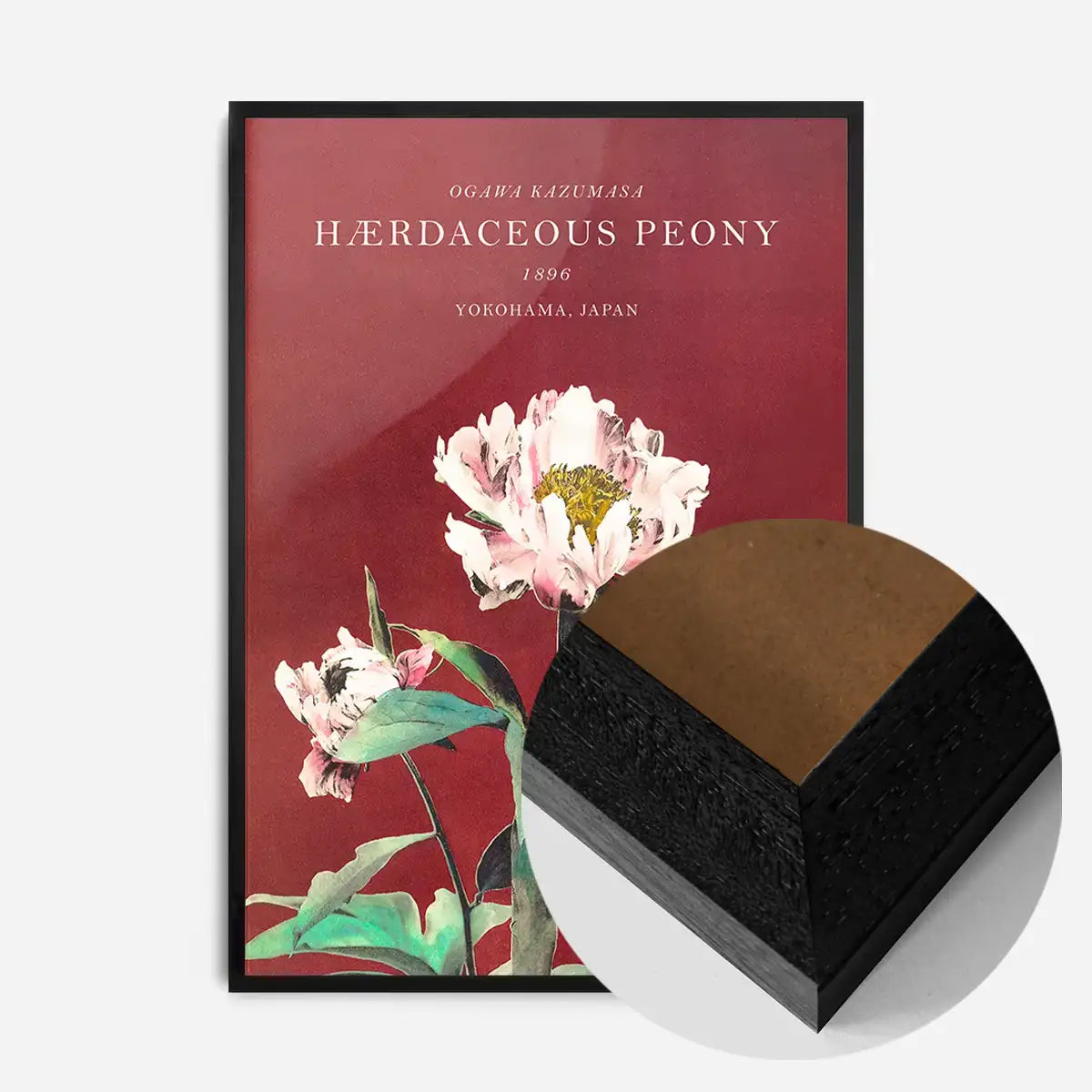 Hærdaceous Peony Ogawa Kazumasa Flowers Print