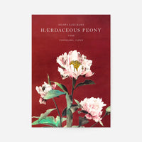 Hærdaceous Peony Ogawa Kazumasa Flowers Print